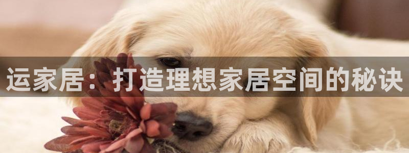 ug环球官网会员