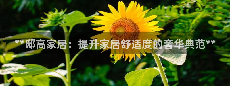 UG环球假线一比一