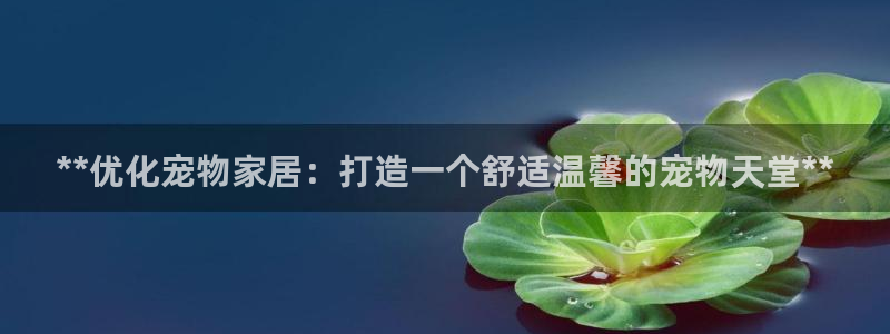 ug环球国际官网