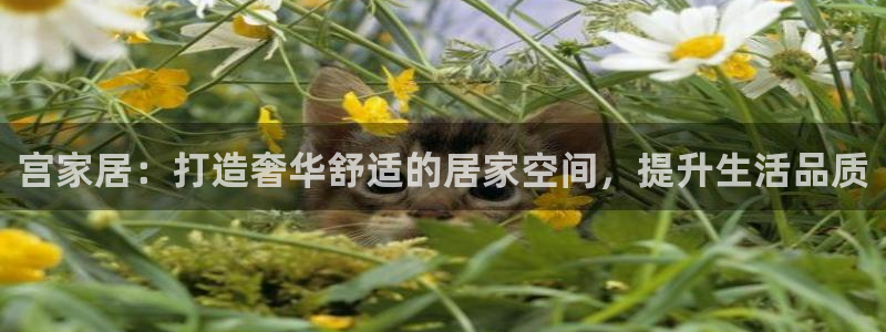ug环球官网合作