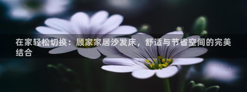 ug环球会员手机版下载