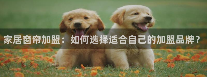 Ug环球私网一比一