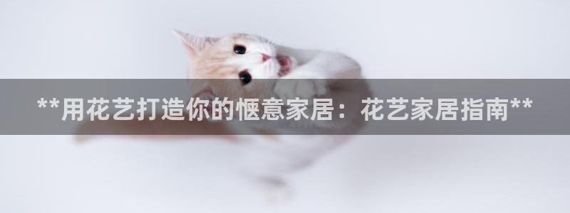 UG环球360官方网站