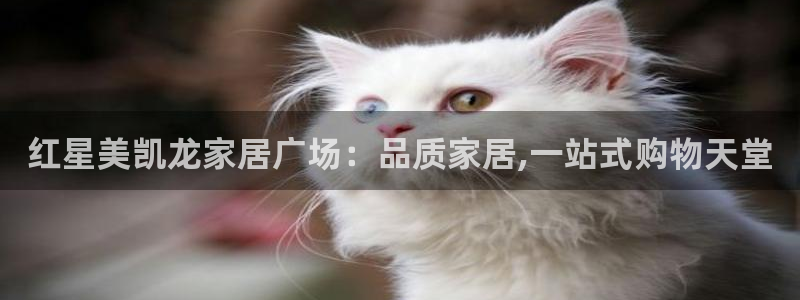 uG环球网站