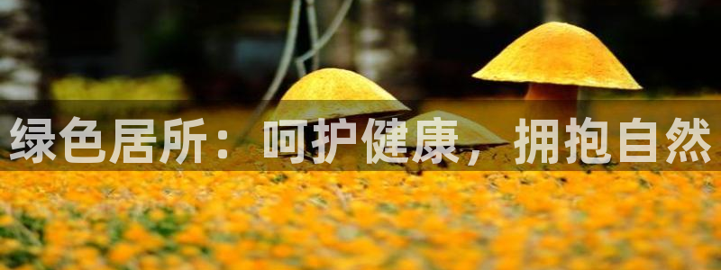 ug环球代理