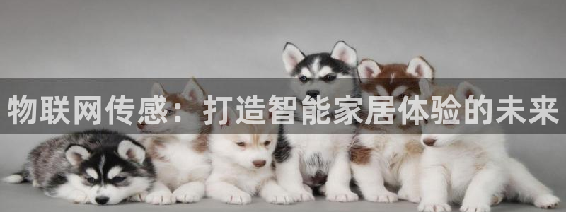 ug环球网