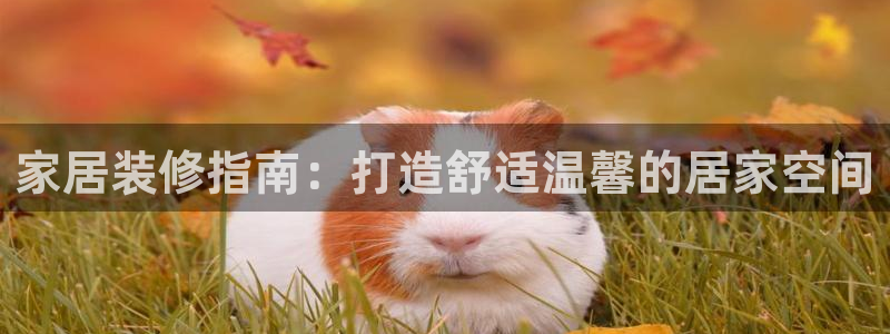 ug环球买代理